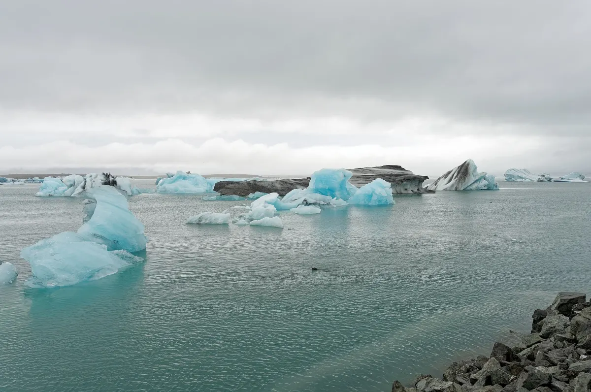 Blaue und weiße Eisberge treiben unter grauem Himmel auf der Gletscherlagune Jökulsárlón